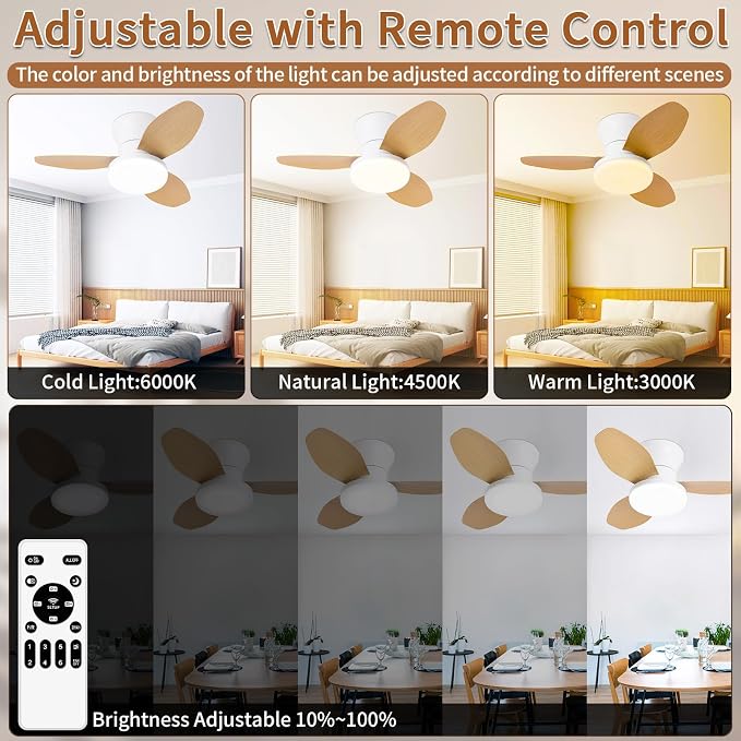 Small Ceiling Fan with Lights, 25 Inch Flush Mount with Remote Control, Reversible Quiet DC Motor, 3 Blades, 6 Speeds, Dimmable LED, Adjustable Color Temperature, Timer