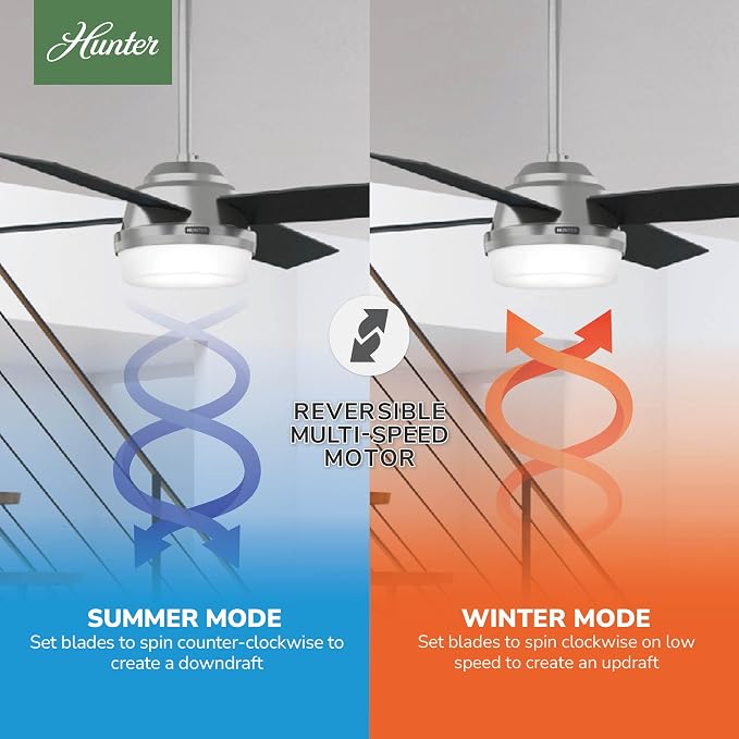 Hunter Dempsey, Indoor, Ceiling Fan, Modern, 52 inch, Brushed Nickel | with LED Light and Remote Control, Standard Mount, 4 Black Oak Blades, For Bedroom, Living Room, Kitchen, 59216