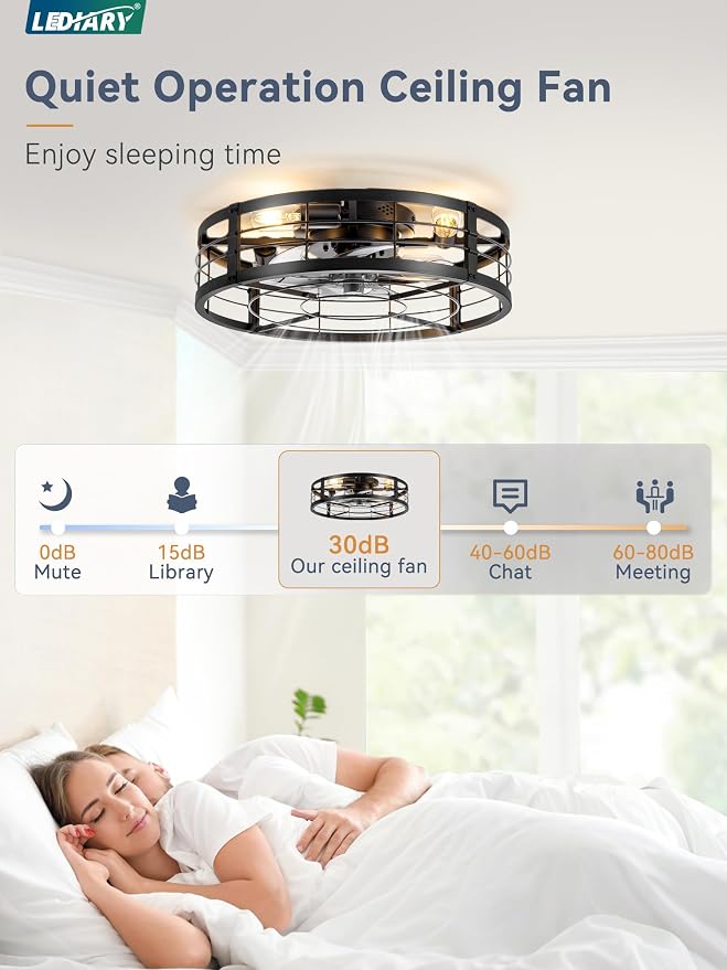 LEDIARY 20" Caged Ceiling Fan with light and Remote, Low Profile Flush Mount Fandelier, Black Bladeless Enclosed Small Fan Ceiling Light Fixtures, Rustic Farmhouse Style for Bedroom, Outdoor
