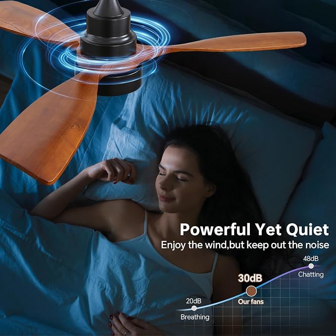 CACI Mall 48 inch Ceiling Fans with Lights, Smart Indoor/Outdoor Ceiling Fan, Remote Control, Compatible with Alexa/Google, Small 3 Blade Solid Wood Ceiling Fans for Bedroom Patio