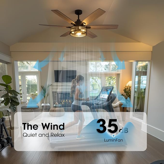 LuminFan 60 Inch Ceiling Fans with Lights and Remote Control, Farmhouse Ceiling Fan for Bedroom Living Room and Patio, Black Caged Ceiling Fan for Indoor and Outdoor