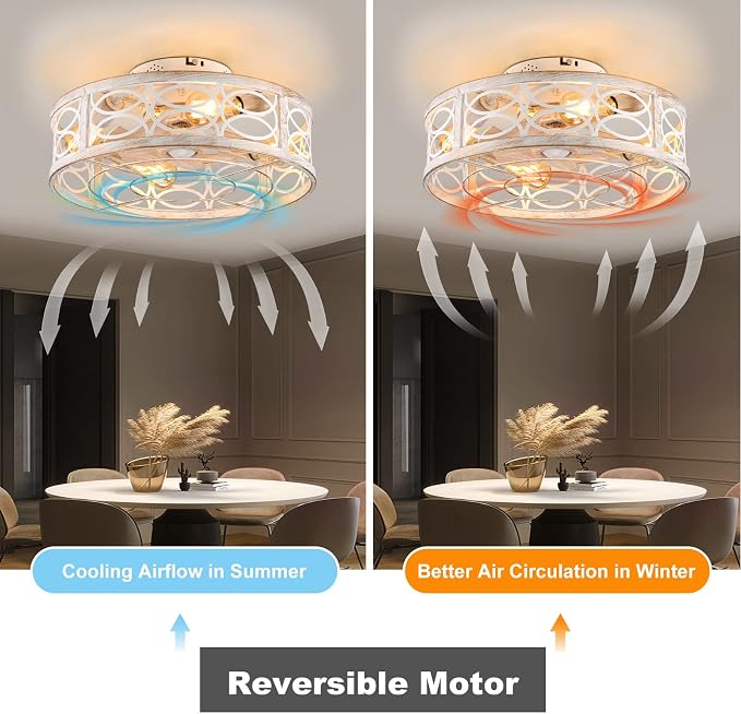 20" Caged Ceiling Fan With Light And Remote，bladeless Ceiling Fan 6 Speed Reversible With 4 Bulbs and Remote Control. With Lights for Bedroom, Dining Room