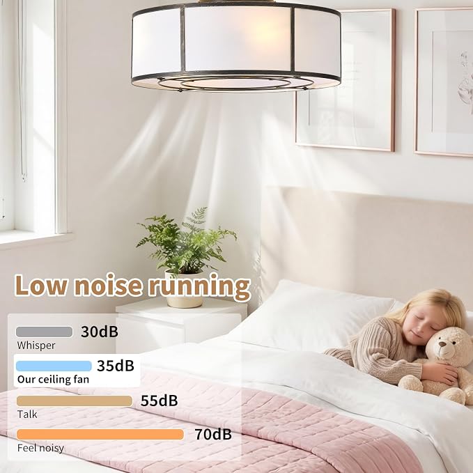 hummingbird 20inch Low Profile Caged Ceiling Fans with Lights, Flush Mount Ceiling Fan with Lights and Remote, Bladeless Modern Enclosed with 6 Speeds for Bedroom, Kitchen, Black