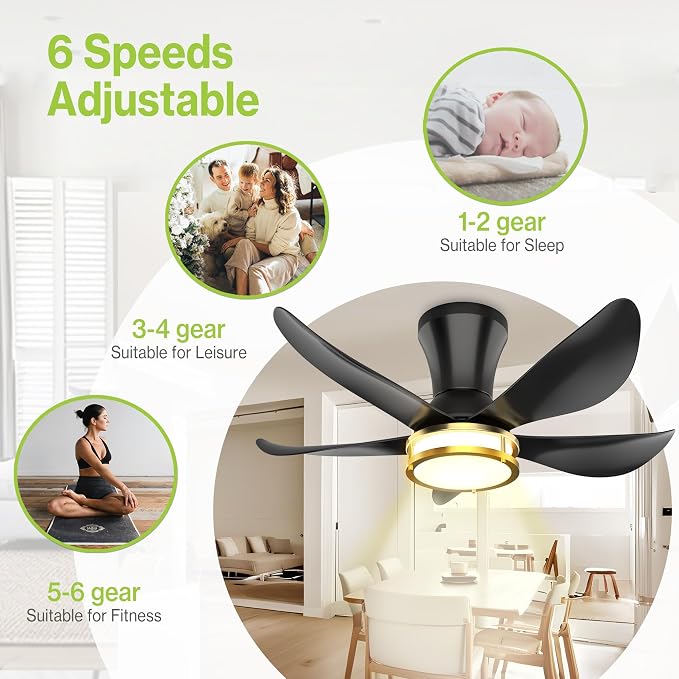 DAMINY 30 Inch Black and Gold 5 Blade Ceiling Fan with Light, Modern Ceiling Fan with Remote,Large Airflow,Flush Mount,6CCT,Dimmable,Noiseless,Bedroom