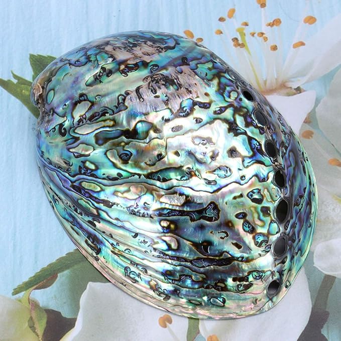 Veemoon Polished Abalone Shell Abalone Shell Smudge Bowl Home Ornament Incense Sage Holder Patio Ashtray - Natural Shells - for Smudge, Meditation, Decoration(12-14cm)