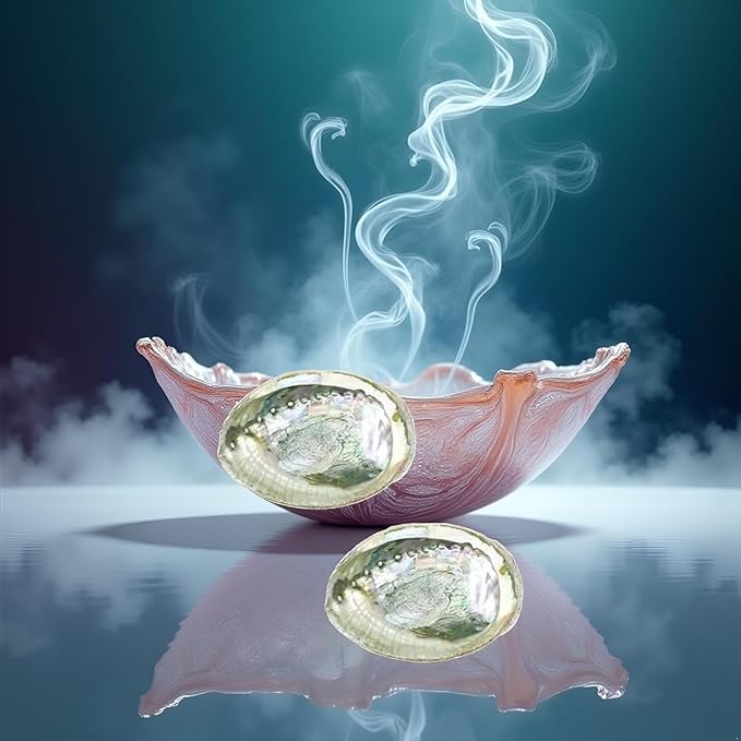 2pcs Colorful Fashionable Large Abalone Shell Bowl, 4-4.5 Inch Exquisite Natural Sea Shell Smudge Bowl for Sage Burning and Incense for Decor, Display and Great Gift, Incense Holders, Decorations