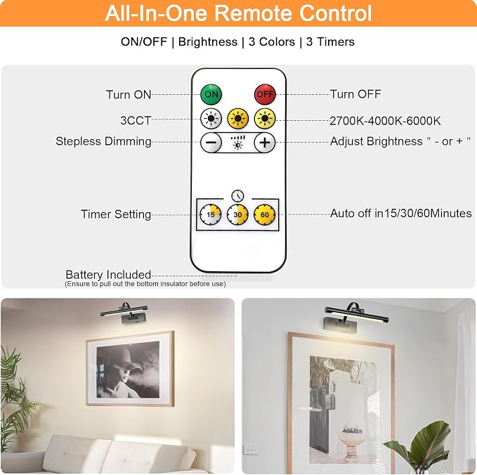Tassuowell Battery Powered Picture Light with Remote and Timer,Full Metal Art Light with Swing Arm,12 Inch Dimmable,3CCT in One, Rechargeable Wall Lights for Display, Artwork, Canvas,Hallway