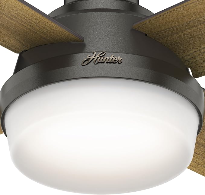 Hunter 44 inch Indoor Ceiling Fan with LED Light and Remote Control - Bronze Modern Ceiling Fan, Low Profile Mount, 4 Blades, For Bedroom, Living Room, or Kitchen, Quiet - Dempsey 59445, Noble Bronze | with LED Light and Remote Control, Low Profile Mou...