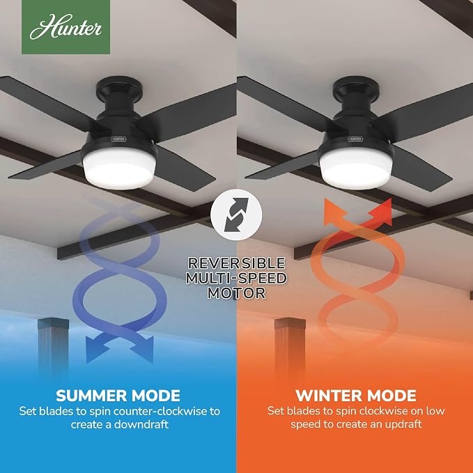 Hunter Dempsey, Outdoor or Indoor, Ceiling Fan, Quiet, 44 inch, Matte Black