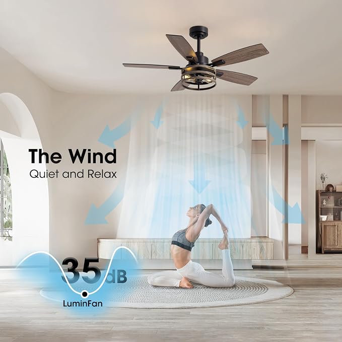 LuminFan 46 Inch Ceiling Fans with Lights and Remote Control, Farmhouse Ceiling Fan for Bedroom Living Room and Patio, Black Caged Ceiling Fan for Indoor and Outdoor