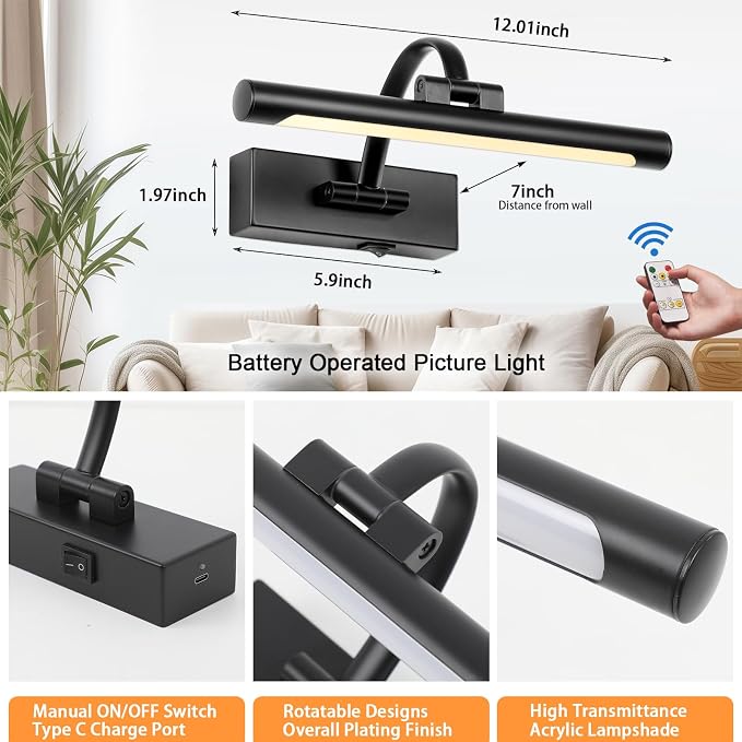 Tassuowell Battery Powered Picture Light with Remote and Timer,Full Metal Art Light with Swing Arm,12 Inch Dimmable,3CCT in One, Rechargeable Wall Lights for Display, Artwork, Canvas,Hallway
