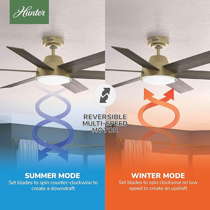 Hunter Donatella, Indoor, Ceiling Fan, Standard Mount, 52 inch, Luxe Gold | with LED Light and Remote Control, Quiet, 6 Blades, For Bedroom, Living Room, Kitchen, 51852