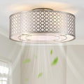 20" Silver Ceiling Fan with Light Flush Mount, Caged Boho Ceiling Fans with Lights Remote Control, Round with 6 Speeds for Bedroom, Nursery, Living Room