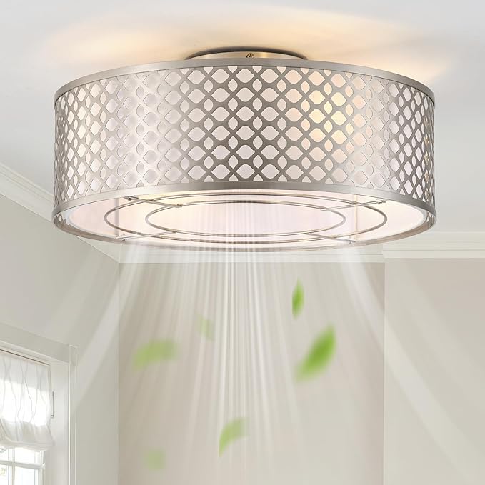 20" Silver Ceiling Fan with Light Flush Mount, Caged Boho Ceiling Fans with Lights Remote Control, Round with 6 Speeds for Bedroom, Nursery, Living Room