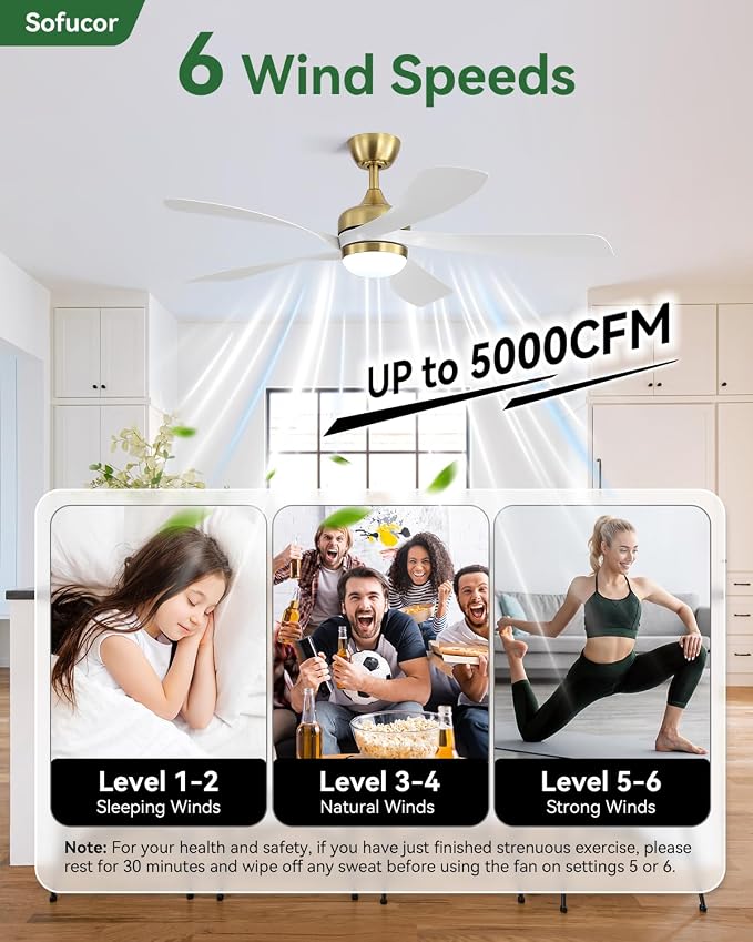Sofucor 52 Inch Ceiling Fans with Lights and Remote, Outdoor Ceiling Fan with Light 6-Speed 3 CCT 3-Timer, Modern Low Profile Ceiling Fan 5 Blade Reversible DC Motor for Living Room Bedroom Patio