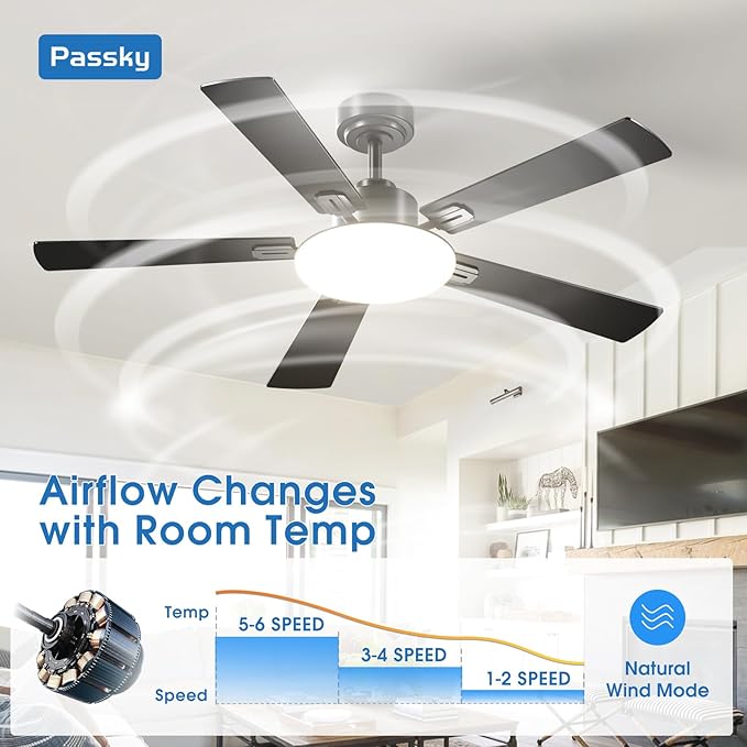Passky Ceiling Fans with Lights, 52 inch Sleek Ceiling Fan with Light and Remote Control, 3CCT, Dimmable, Reversible, Noiseless, Black Ceiling Fan for Bedroom, Living Room