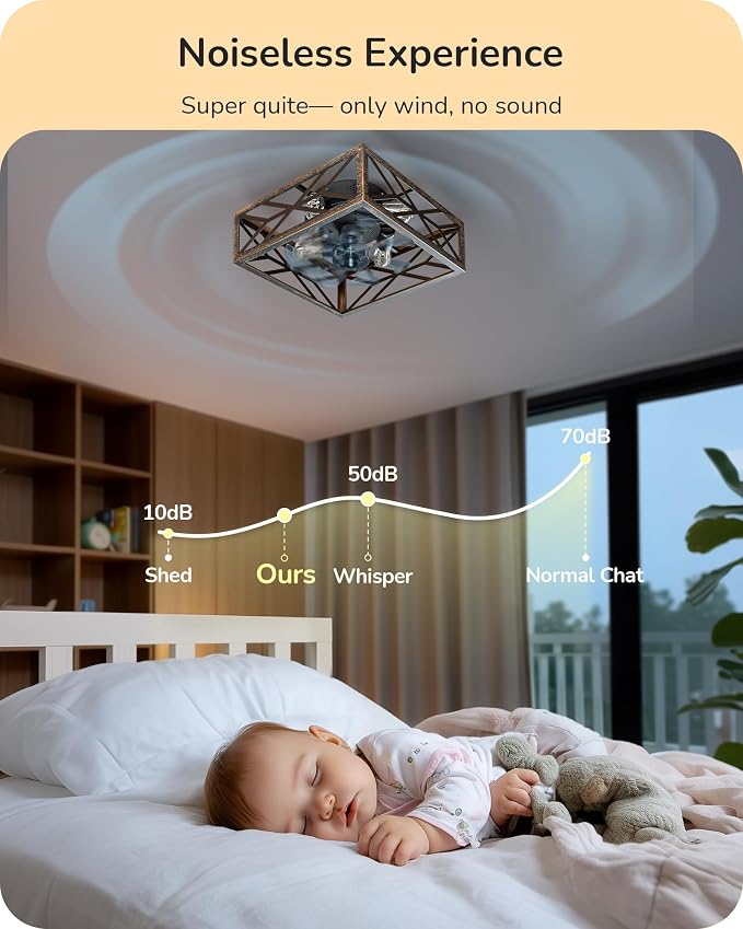 EDISHINE Caged Ceiling Fans with Lights Flush Mount, Rustic Square Low Profile Enclosed Fan Ceiling with Remote, 2/4 H Timer, Reversible 6 Speed, Farmhouse Small Fan for Bedroom, Kitchen, Dining Room
