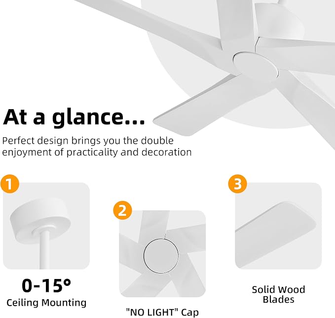 WINGBO 48" DC Ceiling Fan No Light - 5 Carved Solid Wood Blades, 6-Speed Reversible DC Motor, Ceiling Fan without Lights for Living Room Bedroom Kitchen Patio, Indoor and Outdoor, Gloss White