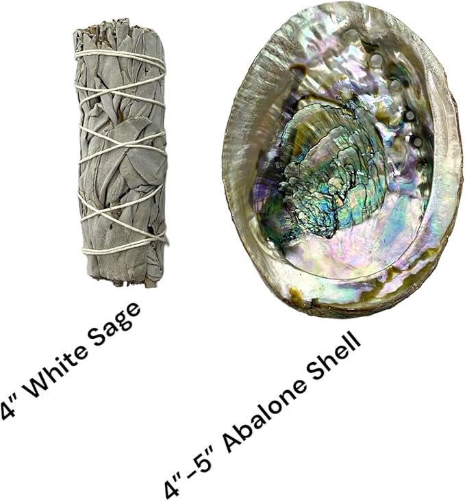 NessaStores 2 pc Sage Smudge Kit with 4" White Sage & 4"-5" Abalone Shell | All Natural for Home Cleansing, Stress Relief, Meditation, and Removing Negative Energy. JC-211-C