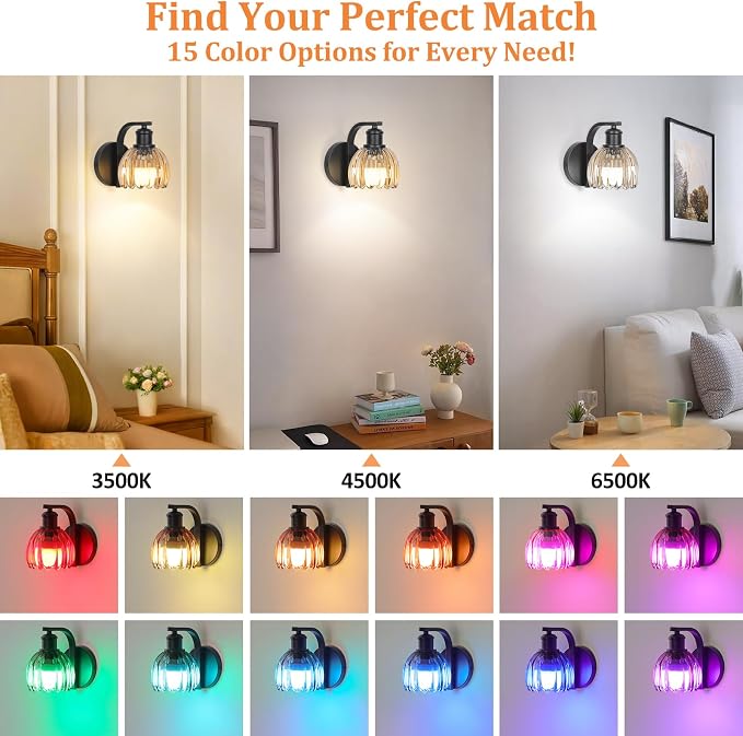 VerRon Rechargeable Battery Operated Wall Sconce Set of Two with Amber Glass Lampshade, Wireless Wall Scone Decor with Remote Control, 15 Colors Black Wall Light for Bedside Hallway Bedroom Doorway