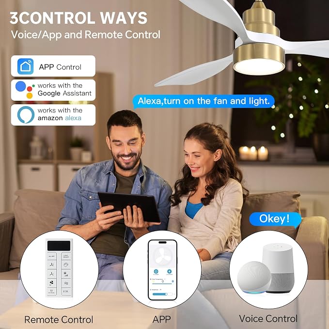 CACI Mall 48 inch Smart Ceiling Fans with Lights, Low Profile, Modern, Gold, 3 Blades, Solid Wood, Remote Control, Work with Alexa/Google, Outdoor Indoor Ceiling Fans for Patio Living Room Bedroom