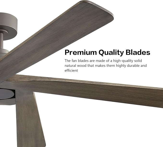 WINGBO 54 Inch DC Ceiling Fan without Lights, 5 Reversible Carved Solid Wood Blades, 6-Speed Noiseless DC Motor, Ceiling Fan No Light with Remote, Graphite Finish with Gray Blades, ETL Listed