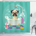 Ambesonne Cartoon Shower Curtain, Funny Pug Dog in Bathtub Grooming Salon Service Shampoo Rubber Duck Pets Colorful Style Image Print, Cloth Fabric Bathroom Decor Set with Hooks, 69" W x 84" L, Teal