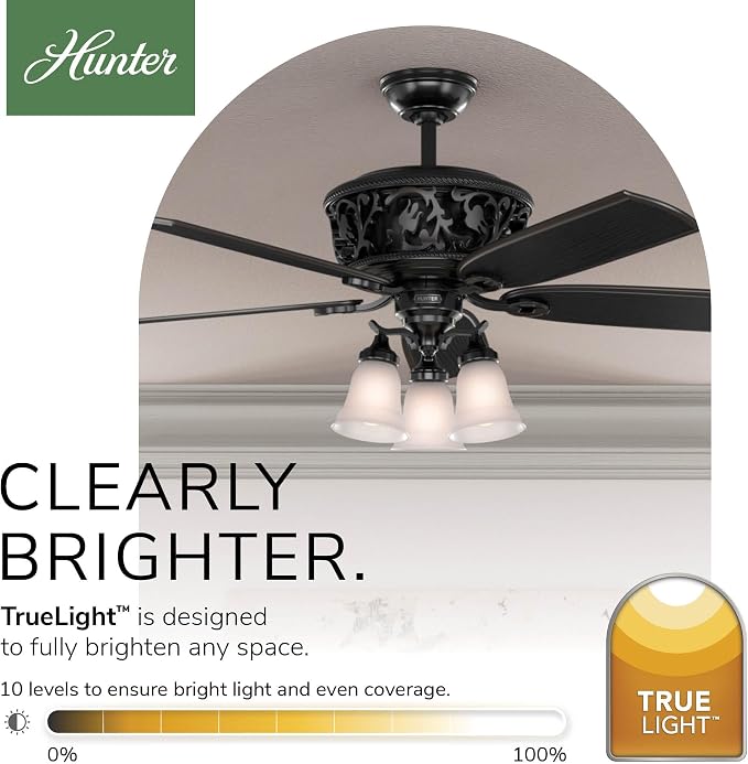 Hunter Promenade, Indoor, Ceiling Fan, Standard Mount, 54 inch, Gloss Black