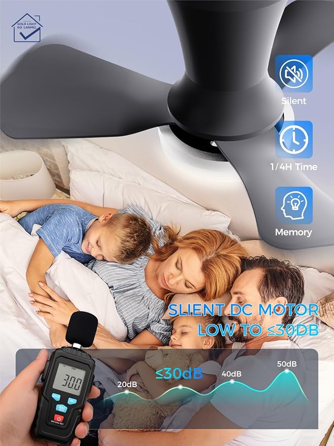 LANMEL Ceiling Fan with Light, Modern Flush Mount Low Profile with Remote Control, Reversible, 3CCT Dimmable, Quiet,LED for Bedroom, Living Room, Indoor/Outdoor Patio Use 22 Inch Silver & Black