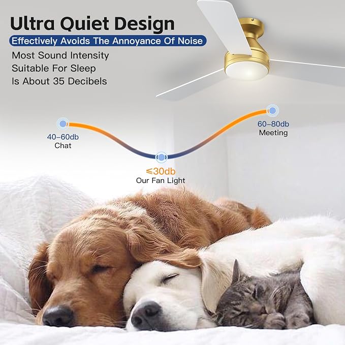 Ceiling Fans with Lights, 42 Inch Ceiling Fan with Light And Remote, 3CCT Flush Moun Low Profile Ceiling Fans, 6 Speed Noiseless LED Ceiling Fan, Advanced Gold Ceilings Fan for Bedroom Living Room