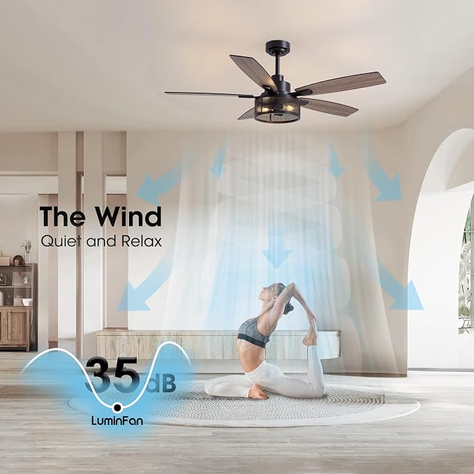 LuminFan 52 Inch Ceiling Fans with Lights and Remote Control, Farmhouse Ceiling Fan for Bedroom Living Room and Patio, Black Caged Ceiling Fan for Indoor and Outdoor