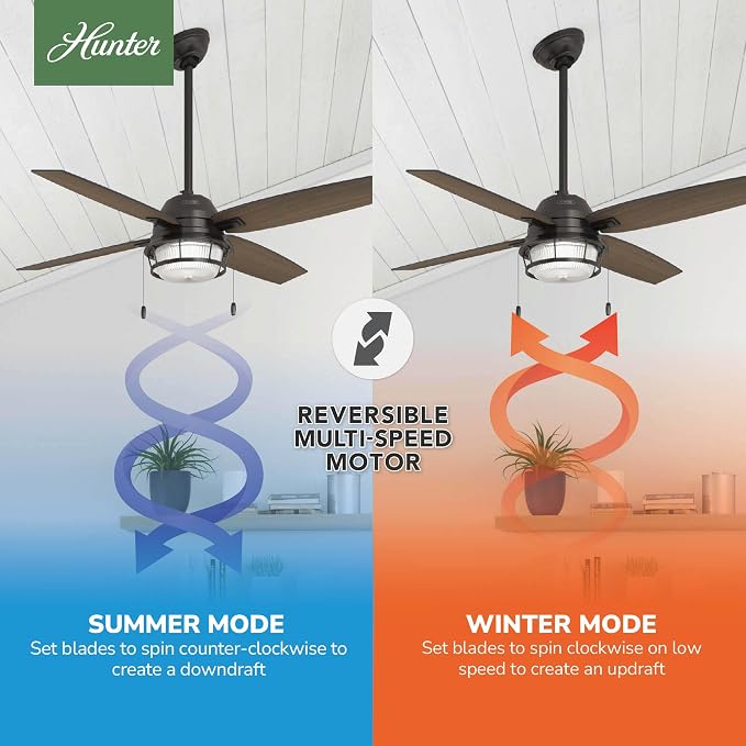 Hunter Ocala, Outdoor or Indoor, Ceiling Fan, Rustic, 52 inch, Noble Bronze