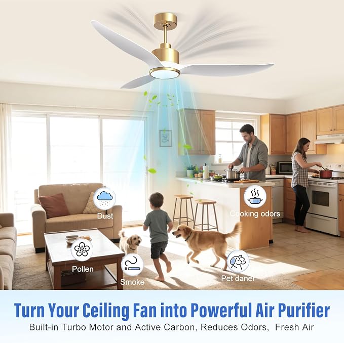 52 Inch White Gold Ceiling Fan with Light, 3 Blades Fan with Filter for Pet Home, High CFM Quiet DC Motor Fan with Remote Control for Living Room and Bedroom