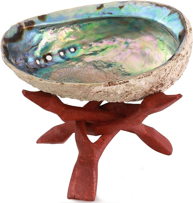 Natural Abalone (Pāua) Shell, with Stand,6-6.5 Inches,Supreme for Smudging,Cleansing Home,Meditation,Shell Crafts,Incense Holder,100% Natural, Sustainably Sourced by Ocean Shell Studios NZ