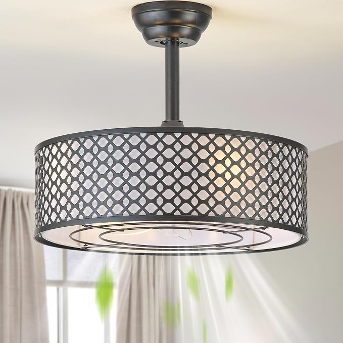 Black Fandelier Ceiling Fan with Light, 20" Caged Boho Ceiling Fans with Lights and Remote, Mid Century with 6 Speeds for Bedroom, Living Room, Nursery