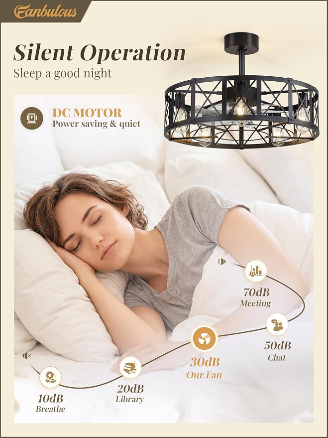 Fanbulous 26 Inch Fandelier Caged Ceiling Fans with Lights and Remote, Black Bladeless Ceiling Fan with 6 Speeds and Timing, Farmhouse Samll Fan Lights Ceiling Fixtures for Kitchen, Bedroom-Black