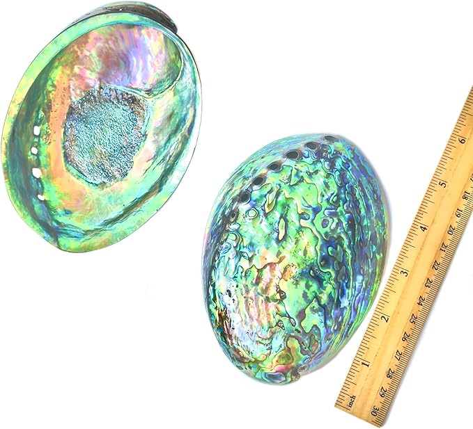 1 Piece New Zealand Abalone Shell, Large Abalone Shell Bowl 4.8-5.5 inches, The Surface is Polished and Blooms with Color, Suitable for Burning sage, Holding Incense, sage Tray