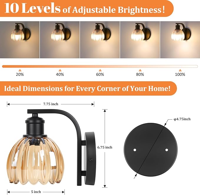 VerRon Rechargeable Battery Operated Wall Sconce Set of Two with Amber Glass Lampshade, Wireless Wall Scone Decor with Remote Control, 15 Colors Black Wall Light for Bedside Hallway Bedroom Doorway