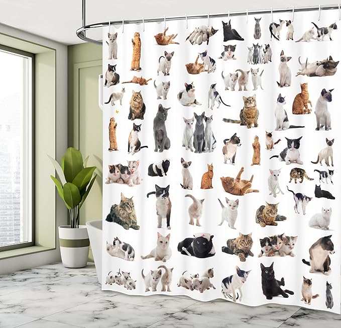 Ambesonne Cat Lover Shower Curtain, Group of Cats and Kitten Lying Down Meowing Purebred Norwegian Siamese, Cloth Fabric Bathroom Decor Set with Hooks, 69" W x 75" L, Marigold White