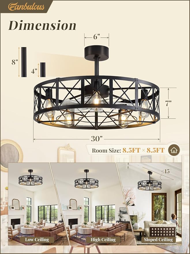 Fanbulous 30 Inch Fandelier Caged Ceiling Fans with Lights and Remote, Black Bladeless Ceiling Fan with 6 Speeds and Timing, Farmhouse Samll Fan Lights Ceiling Fixtures for Kitchen, Bedroom-Black