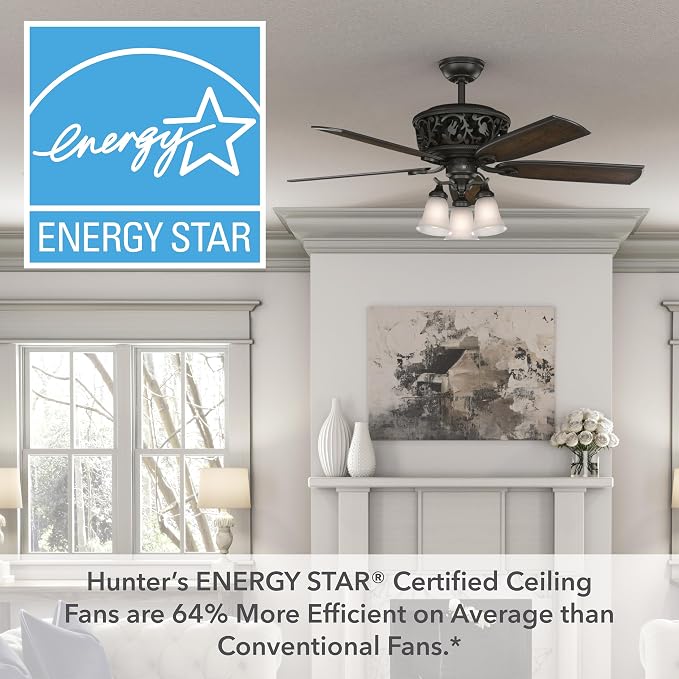 Hunter Promenade, Indoor, Ceiling Fan, Quiet, 54 inch, Brittany Bronze