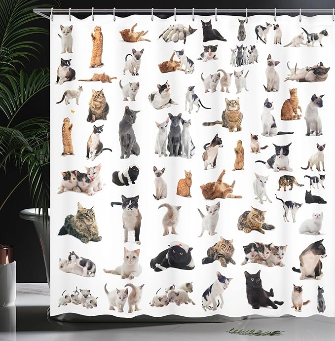 Ambesonne Cat Lover Shower Curtain, Group of Cats and Kitten Lying Down Meowing Purebred Norwegian Siamese, Cloth Fabric Bathroom Decor Set with Hooks, 69" W x 75" L, Marigold White
