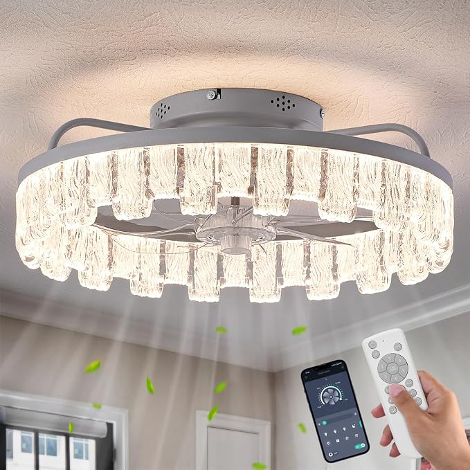 Dalouguan Rustic Silver Caged Ceiling Fan with Light, Personalized Fashion Ceiling Fan Remote Control with Acrylic, LED Low Profile Ceiling Light for Bedroom Kitchen Living Room