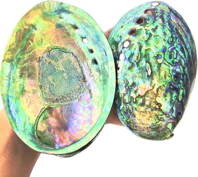 1 Piece New Zealand Abalone Shell, Large Abalone Shell Bowl 4.8-5.5 inches, The Surface is Polished and Blooms with Color, Suitable for Burning sage, Holding Incense, sage Tray