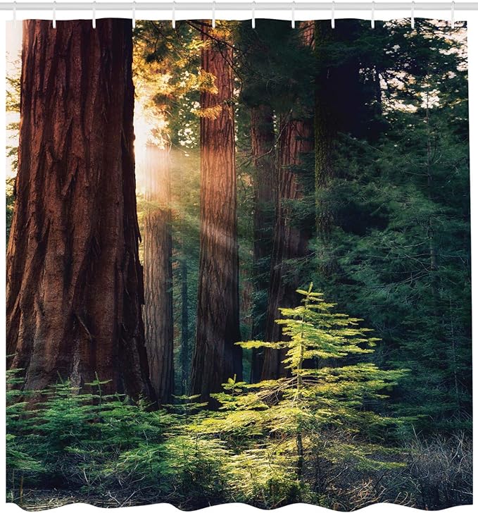 Ambesonne National Parks Shower Curtain, Morning Sunlight in Wilderness Yosemite Sierra Nevada United States Nature, Cloth Fabric Bathroom Decor Set with Hooks, 69" W x 84" L, Green Dark Brown