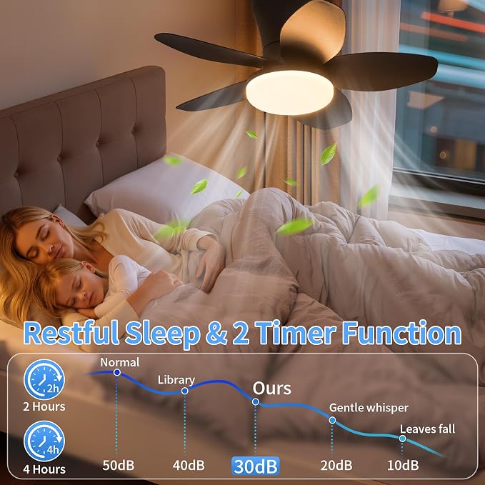 25" Small Ceiling Fans with Lights & Remote,6 Speeds Reversible Flush Mount | 5 Blades, Adjustable Color Temperature, Dimmable, Timer, Low Noise for Bedroom, Kitchen, Study, Laundry Room, Black