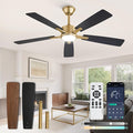 Fanbulous 52 Inch Black and Gold Ceiling Fans with Lights and Remote, Stepless Color Temperature Change & Dimmable 20W LED Ceiling Fan, 6 Speeds Reversible Quiet DC Motor for Bedroom, Living Room