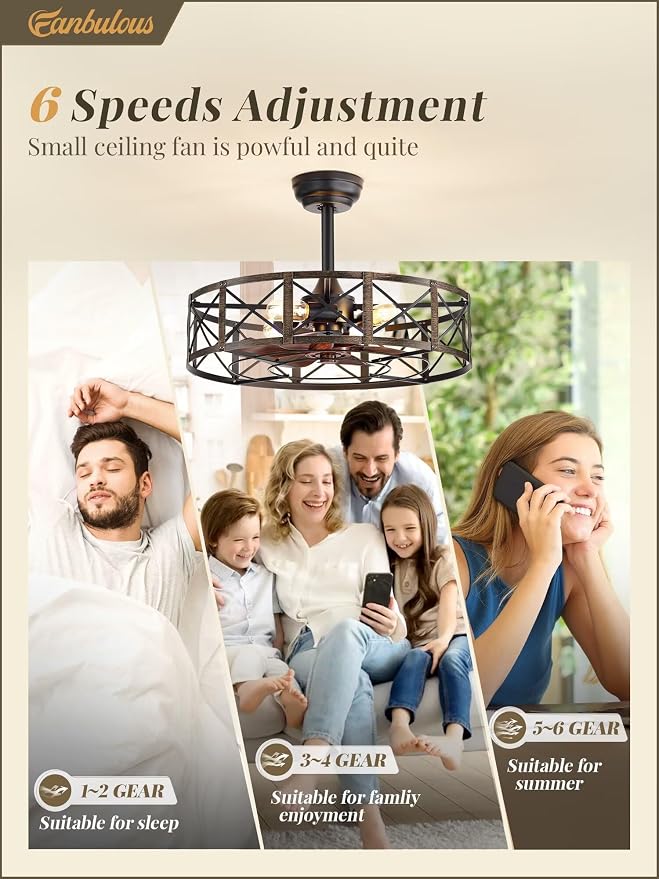 Fanbulous 23 Inch Fandelier Caged Ceiling Fans with Lights and Remote, Black Farmhouse Ceiling Fan, Bladeless Samll Fan Lights Ceiling Fixtures for Kitchen, Bedroom-Black and Gold