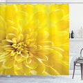 Ambesonne Yellow Shower Curtain, Vibrant Blooming Flower Close up Bridal Botanical Nature Picture for Summer Home Print, Cloth Fabric Bathroom Decor Set with Hooks, 69" W x 84" L, Yellow