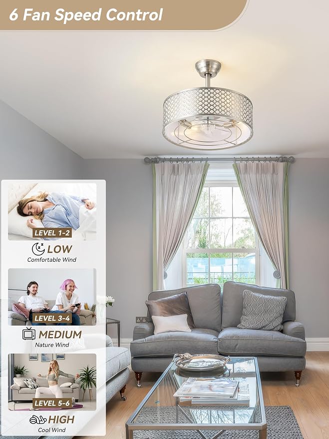 Silver Fandelier Ceiling Fan with Light, 20" Caged Boho Ceiling Fans with Lights and Remote, Mid Century with 6 Speeds for Bedroom, Living Room, Nursery